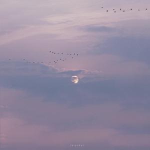 男男资源gv✅✅宏翔
